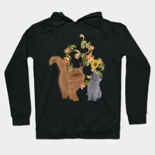 Cute fantasy kitten Hoodie